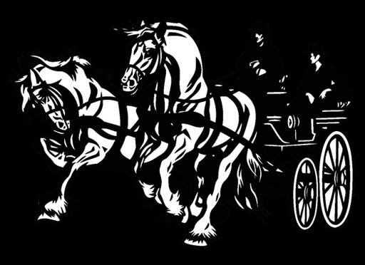 Carriage hill and Co.