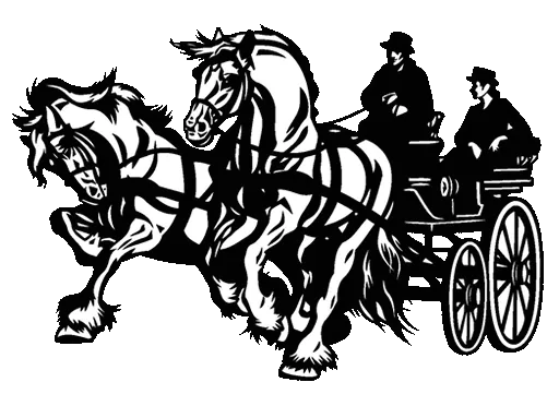 Carriage hill and Co.